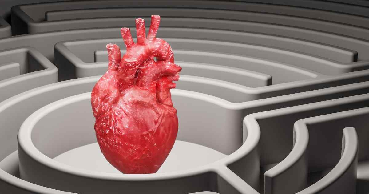 difference between arteries veins and capillaries