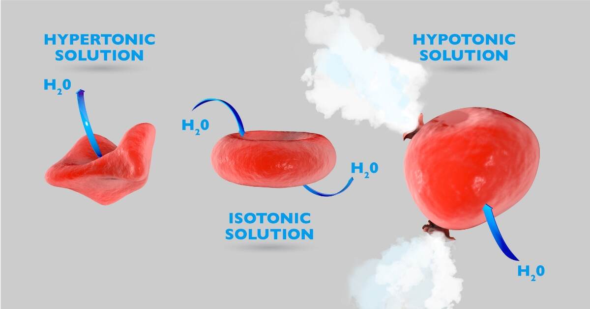 difference between osmosis and diffusion
