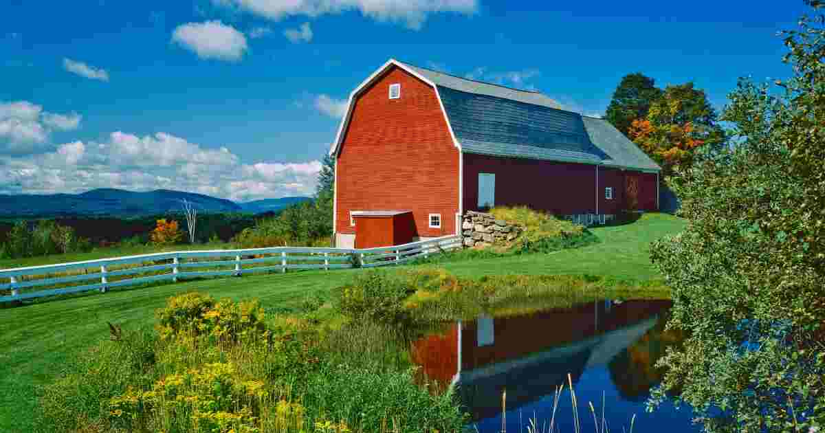 difference between urban and rural
